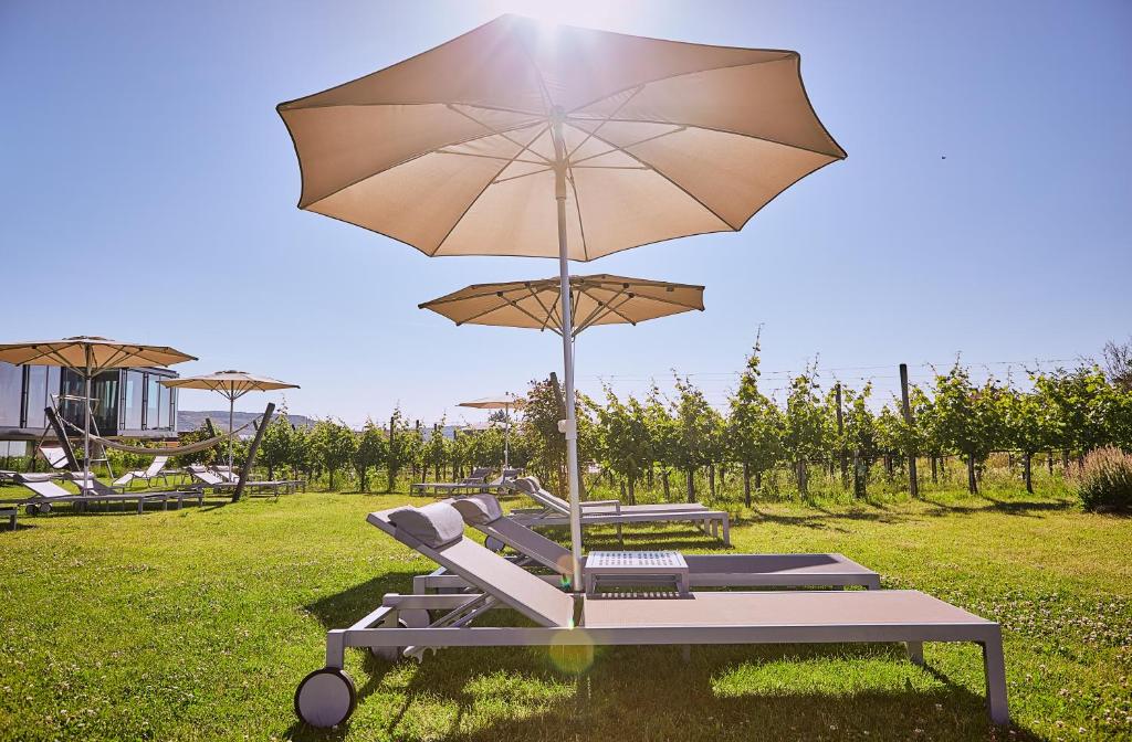 Zahrada ubytování LOISIUM Wine & Spa Hotel Langenlois