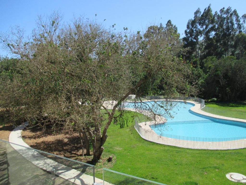 an overhead view of a swimming pool with a tree at Lomas de Papudo III in Papudo