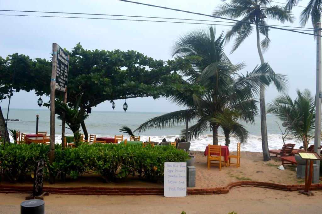 a beach with chairs and palm trees and the ocean at Dilena Beach Inn in Tangalle