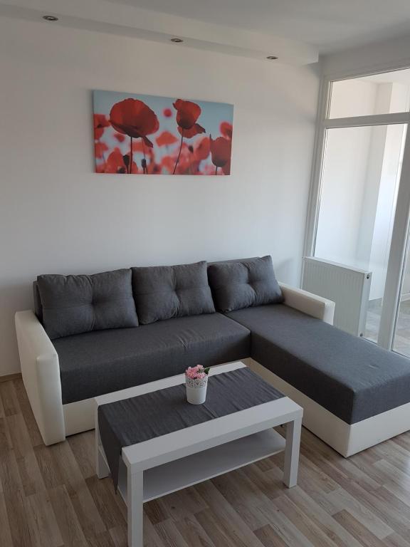 Apartment Alex Miramare - 1