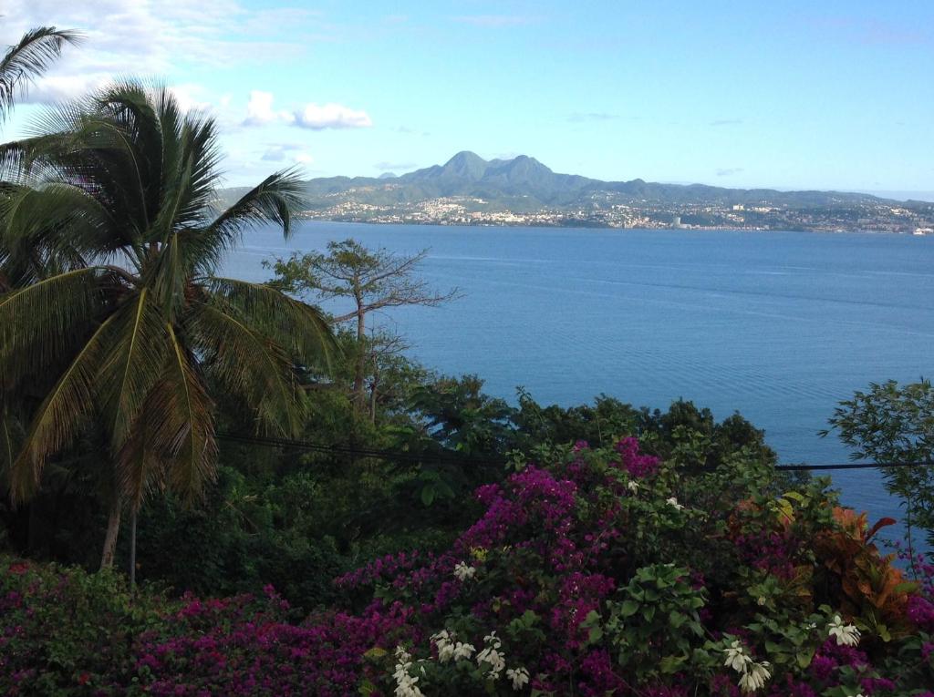 una vista del océano con una palmera y flores en Habitation Desrosiers, en Les Trois-Îlets