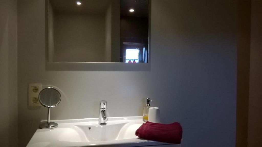 uma casa de banho com um lavatório branco e um espelho. em B&B De Zoete Kers em Wakken