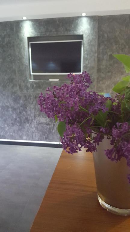 Fotografie z fotogalerie ubytování House Biba & Leona v destinaci Rastovača
