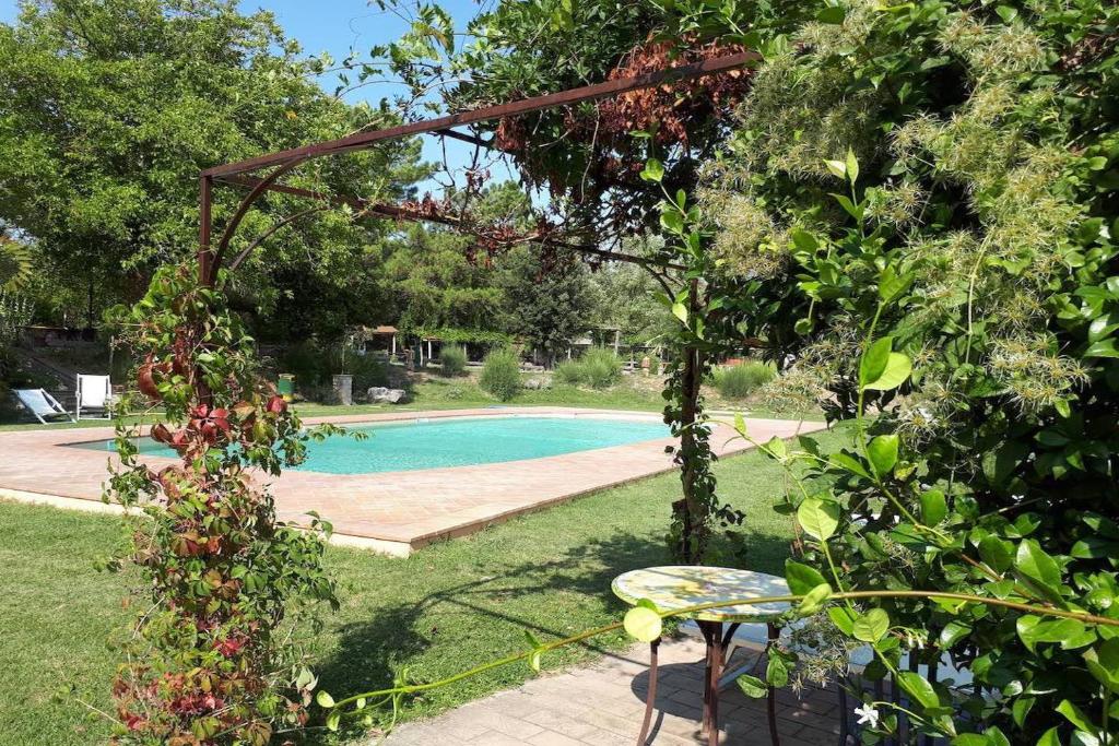Bazén v ubytování Agriturismo Borgo Santa Maria nebo v jeho okolí