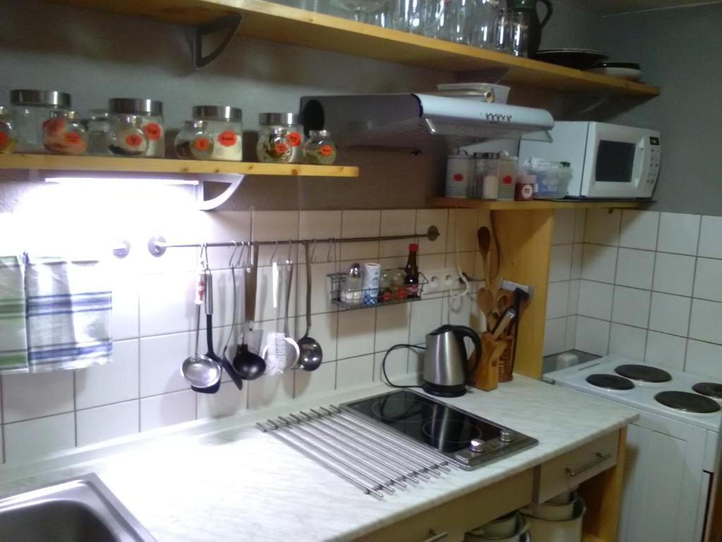 Kuchyň nebo kuchyňský kout v ubytování Chata pod Brdom