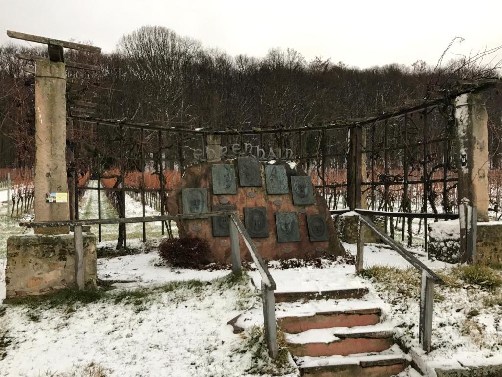 Rebstöckel v zimě