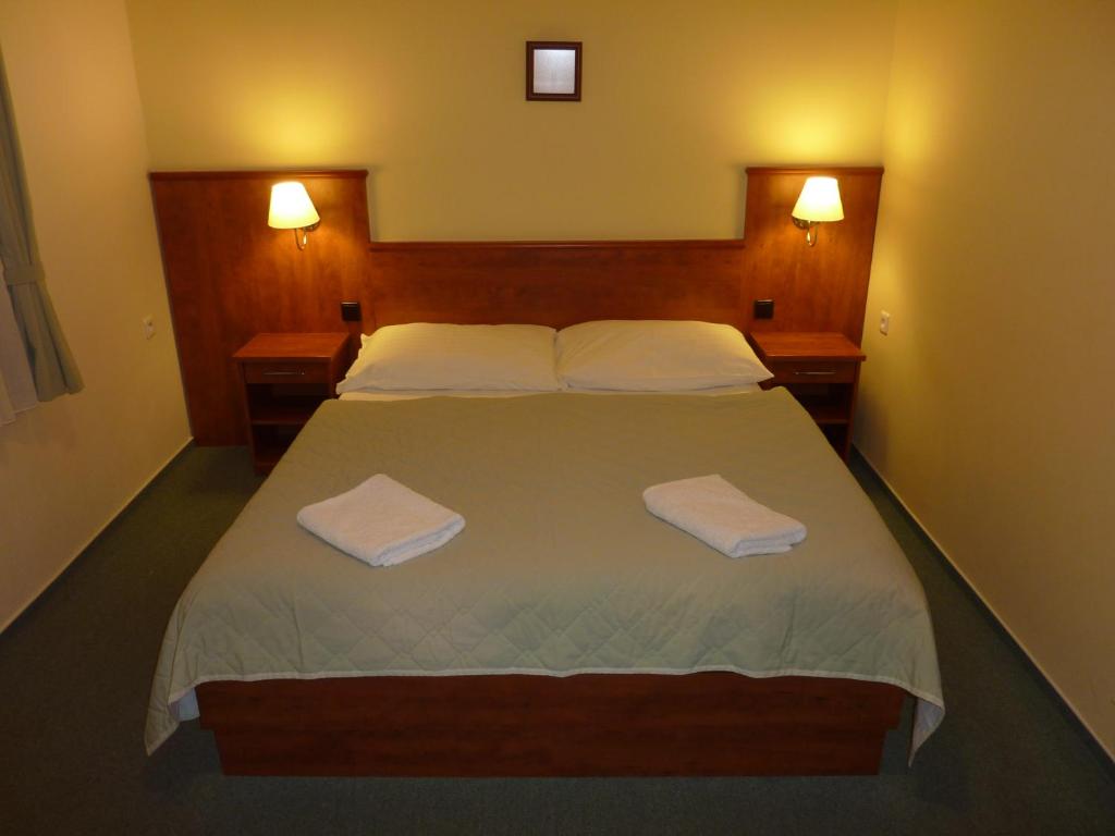 Postel nebo postele na pokoji v ubytování Hotel Praha