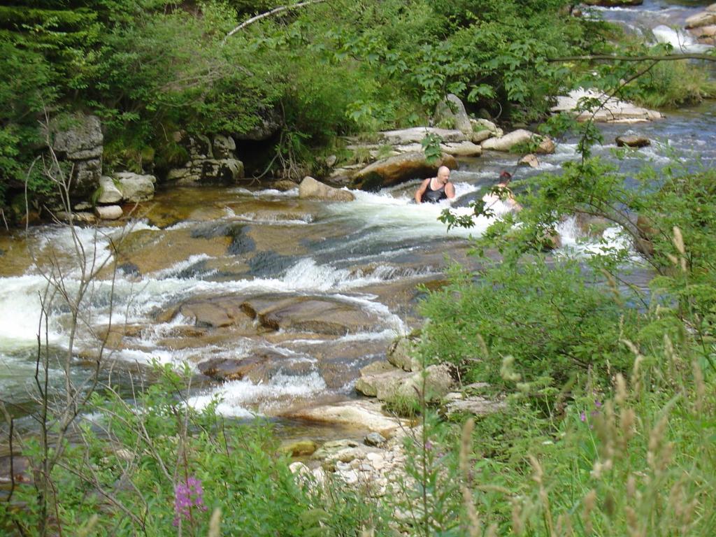 a person swimming in a river with rocks and trees at Apartmán Chlupáč in Harrachov