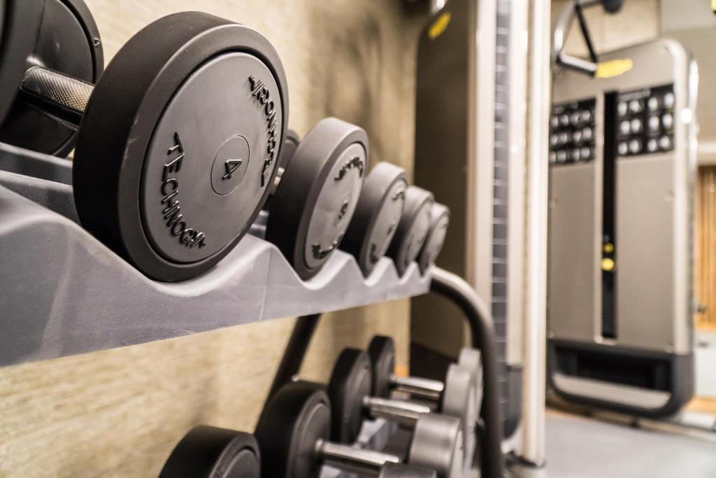 Fitness centrum a/nebo fitness zařízení v ubytování The Capra Saas-Fee