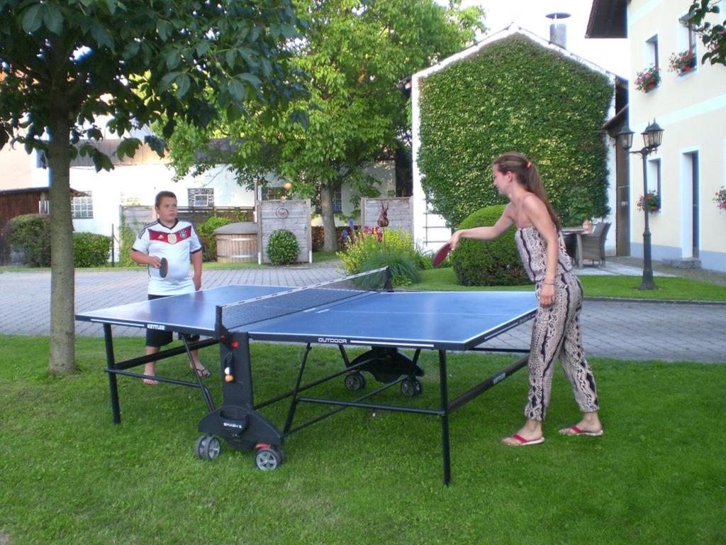 Stolní tenis v ubytování Ferienhof Nirschl nebo okolí