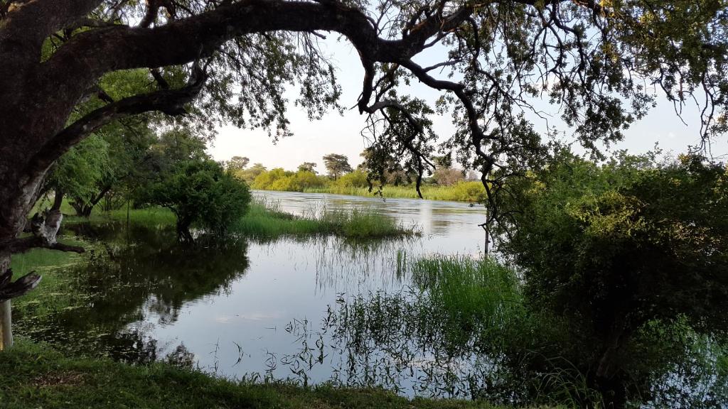 a view of a river with trees and grass at Shankara Rest Camp in Makena