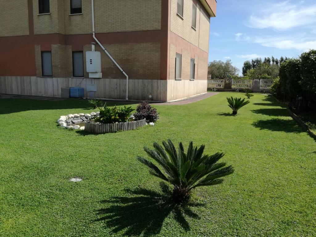 Zahrada ubytování B&B Casa degli Ulivi