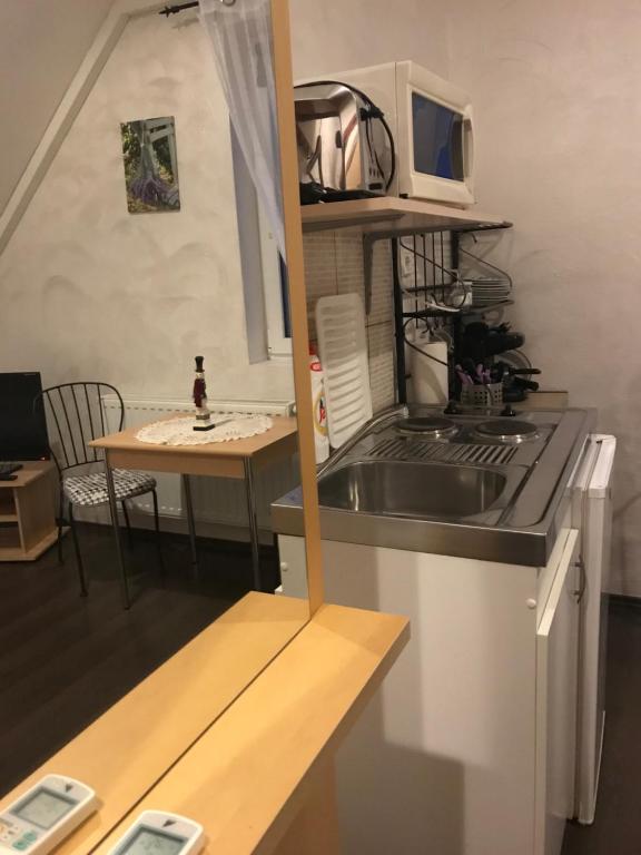 Kuchyň nebo kuchyňský kout v ubytování Viktória Inn Tihany