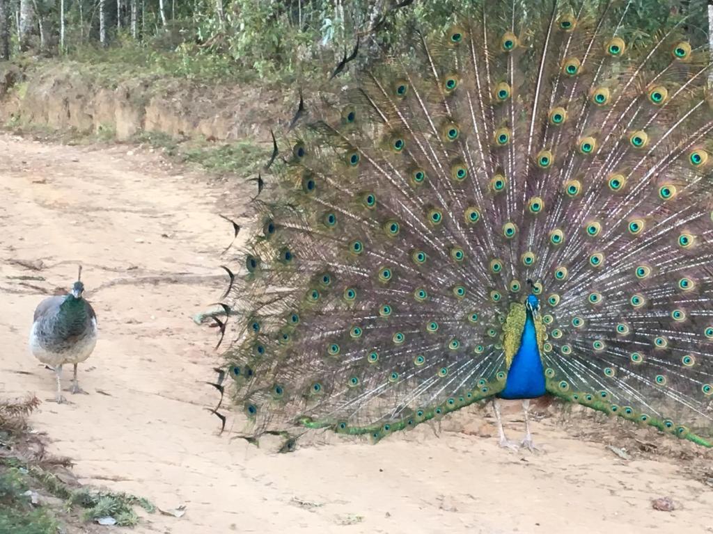  Paraíso na Montanha