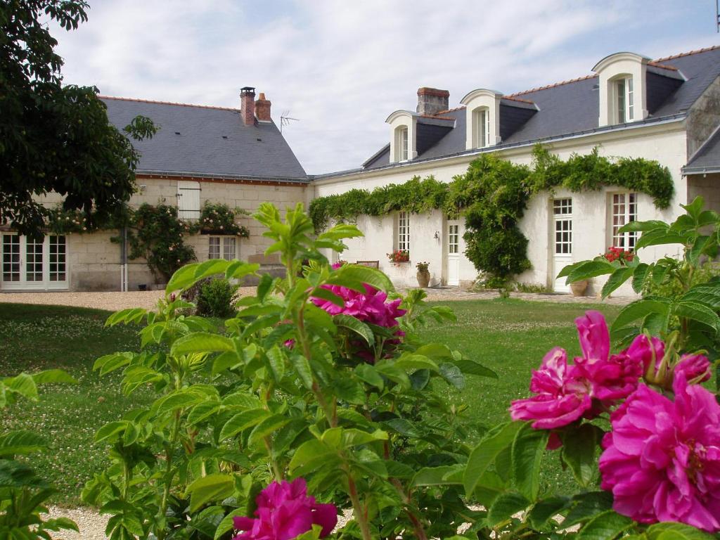 a house with pink flowers in the yard at La Jarillais in Saumur