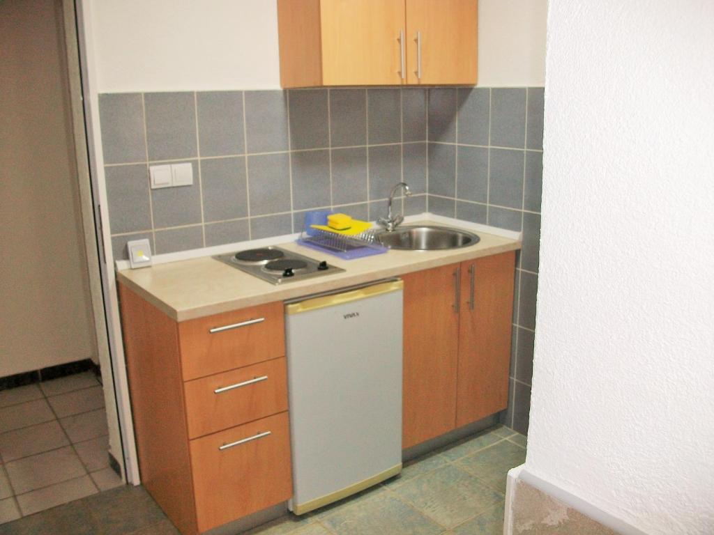 a small kitchen with a sink and a stove at Apartments Petrovic in Krimovice