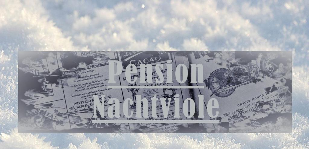 Certifikát, hodnocení, plakát nebo jiný dokument vystavený v ubytování Pension Nachtviole