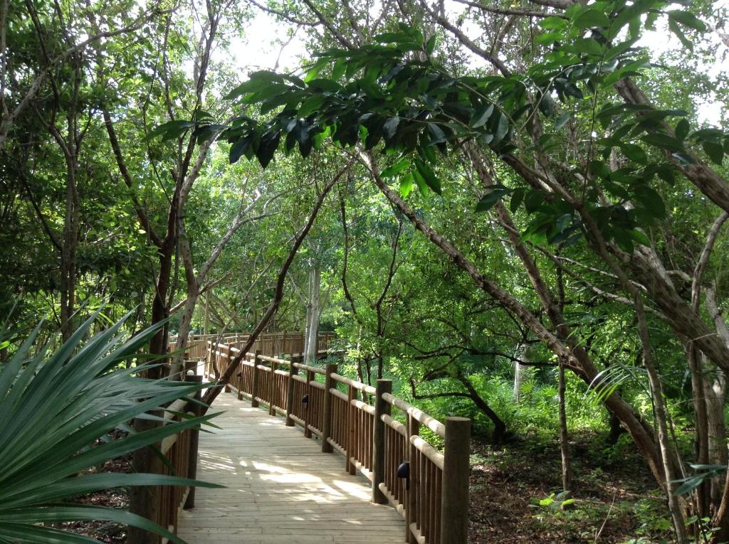 a wooden bridge in a forest with trees at Suites at Mayan Palace Vidanta Resort Riviera Maya in Playa del Carmen