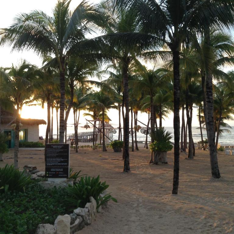a group of palm trees on a beach with the ocean at Suites at Mayan Palace Vidanta Resort Riviera Maya in Playa del Carmen