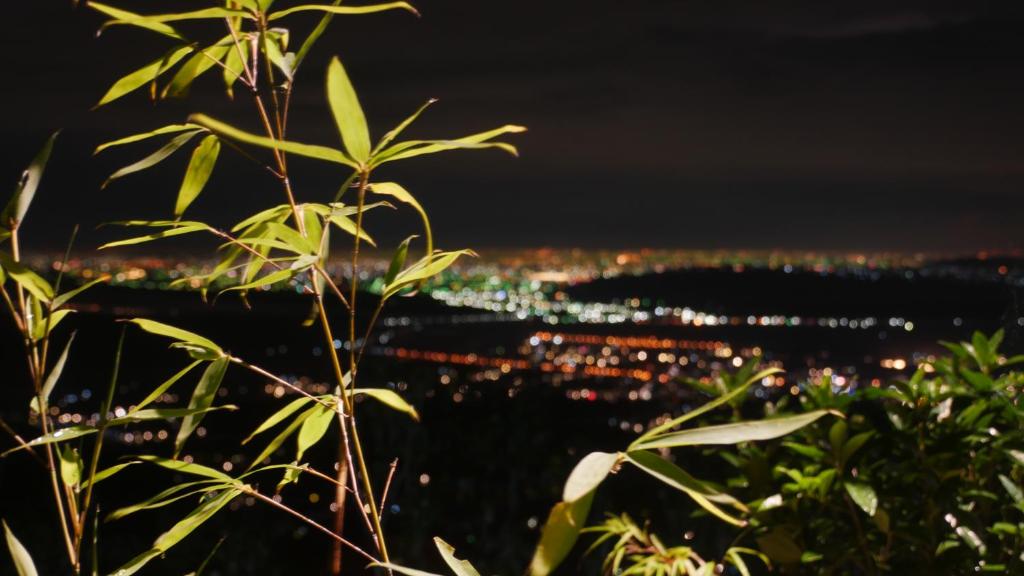 竹山鎮的住宿－望際回家，植物的夜晚城市景观