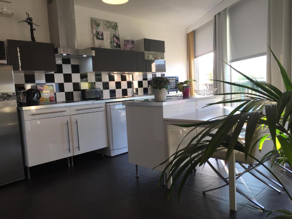 a kitchen with white cabinets and a potted plant at Tu Casa parking fibre optique Netflix in Saint-Raphaël