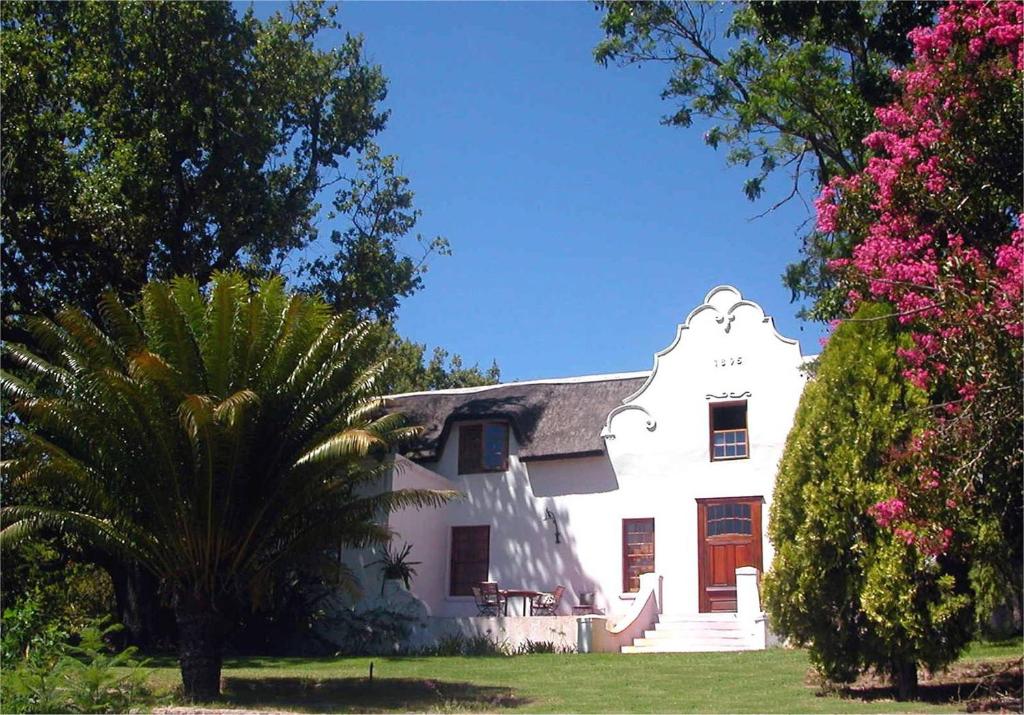 a white house with a palm tree in front of it at Oude Wellington Estate in Wellington