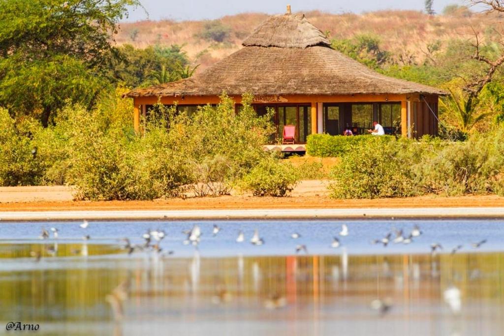 Une cabane avec un groupe d'oiseaux devant une masse d'eau dans l'établissement Le Lodge Dalaal Diam, à La Somone