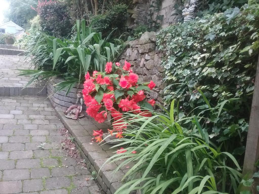Giardino di Ashleigh House Bed & Breakfast