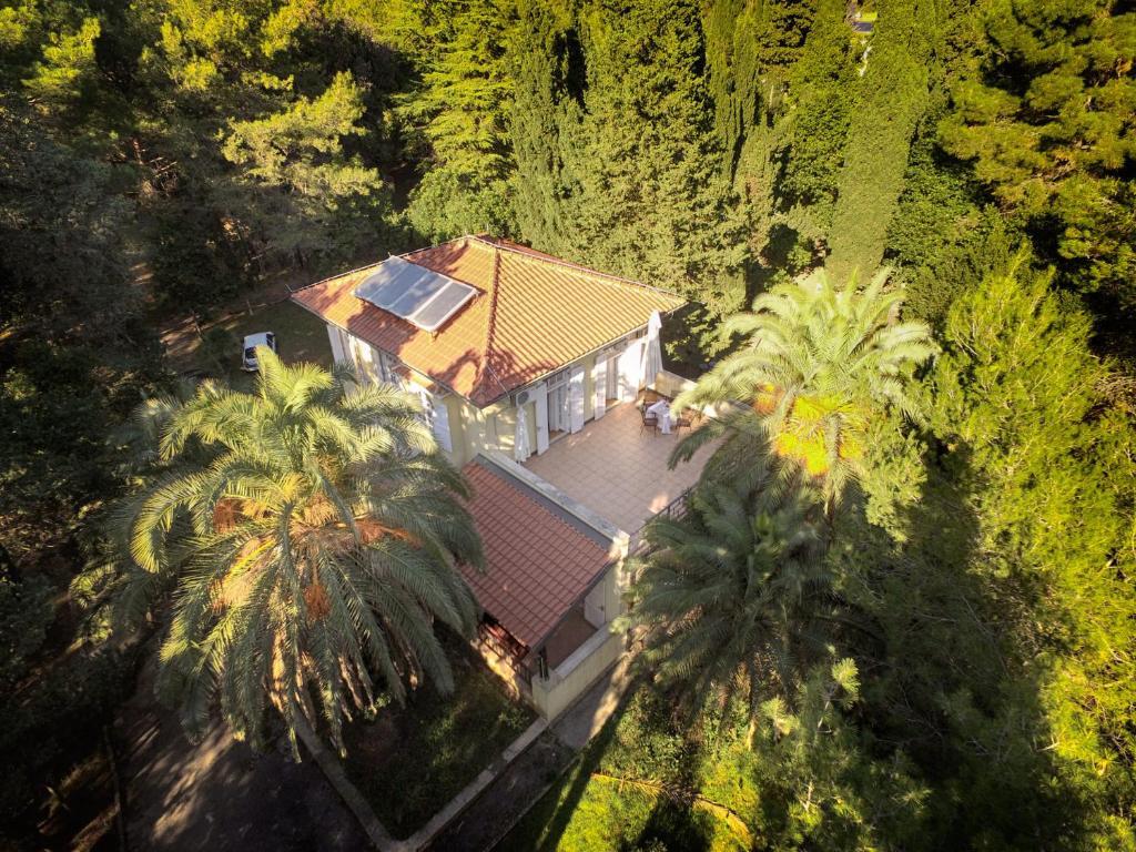 an overhead view of a house with palm trees at Rosemary Apartments & Rooms in Mali Lošinj