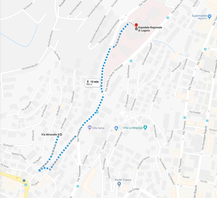 Lugano casanico - self check-in - Resim 32