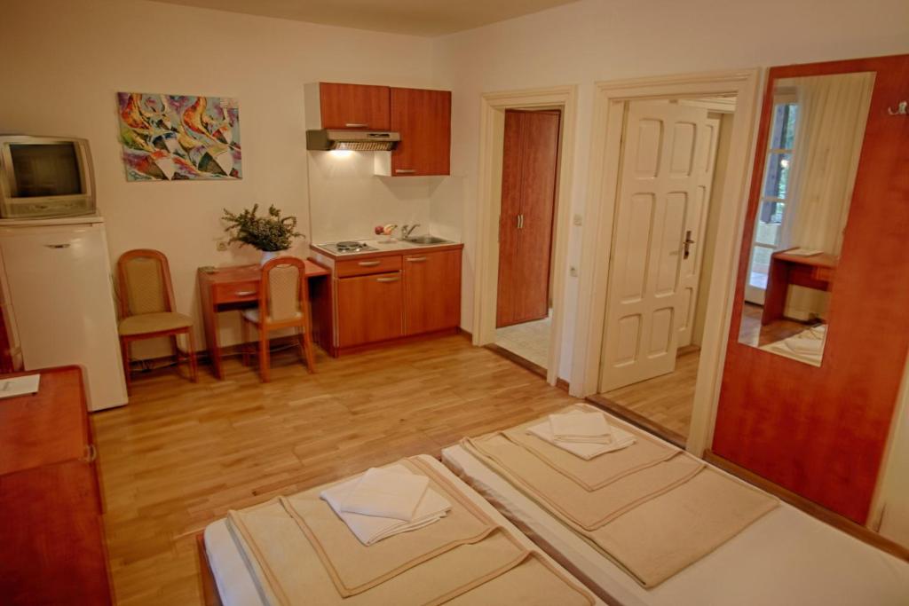 Kuchyň nebo kuchyňský kout v ubytování Rosemary Apartments & Rooms