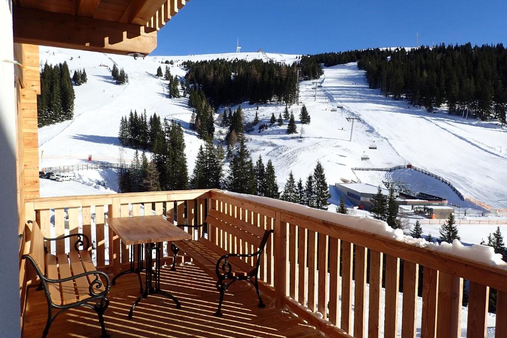 Veselý Svišť Chalet Lachtal v zimě