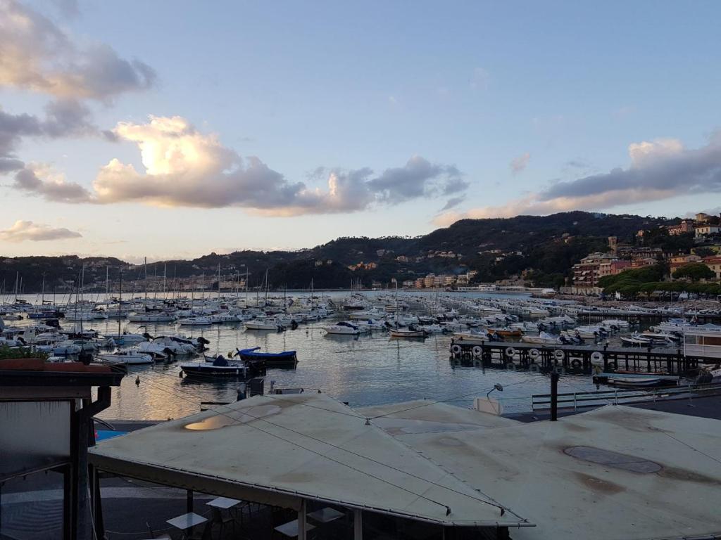a harbor filled with lots of boats in the water at Vittoria in Lerici