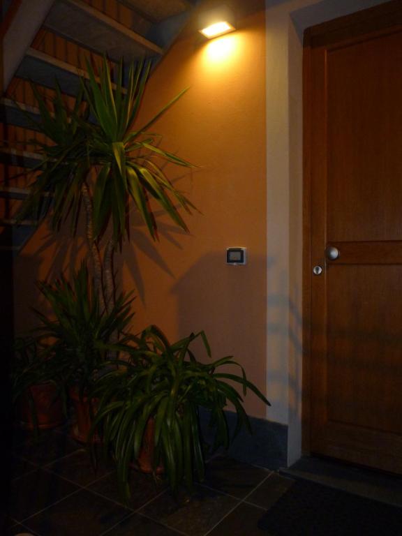 Fotografie z fotogalerie ubytování La Gerbera v Levantu