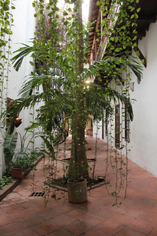 Zahrada ubytování Casa Del Tejadillo
