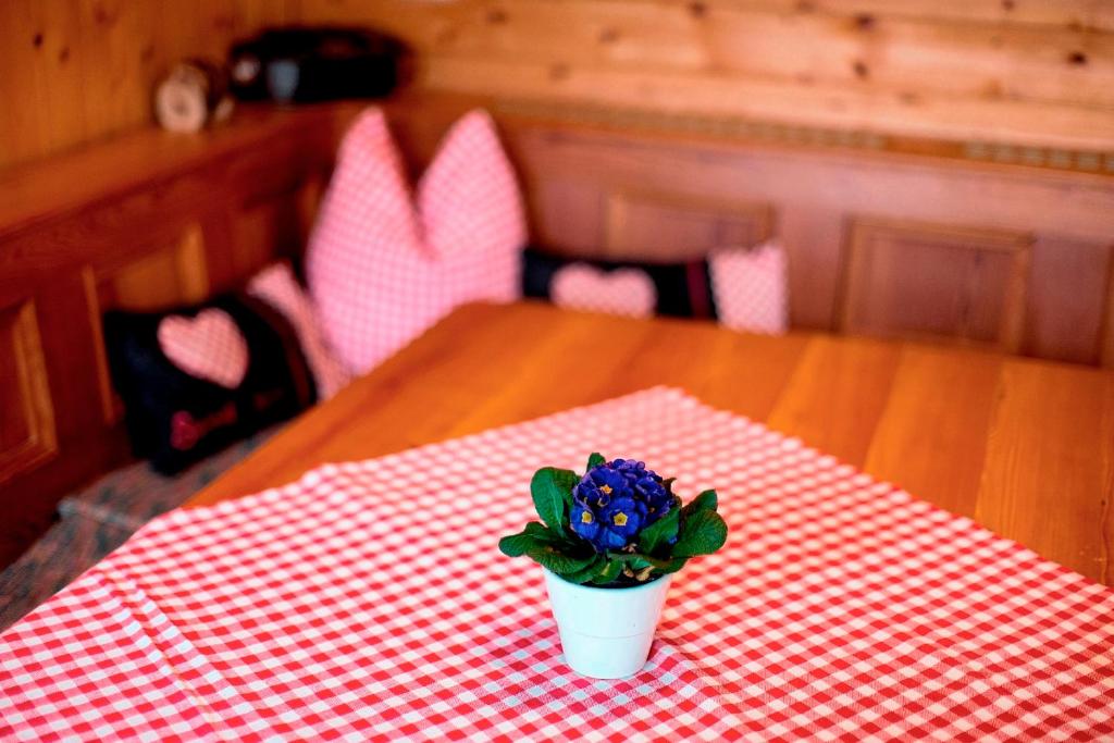 Fotografie z fotogalerie ubytování Chalet "Knusperhäuschen" v destinaci Murau