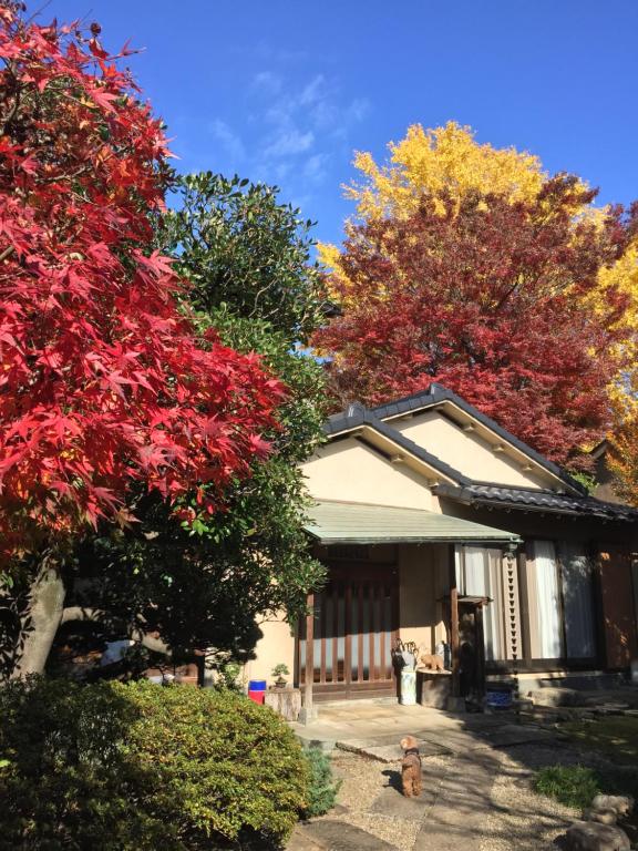 uma casa com árvores coloridas em frente em Mokkoan em Tóquio