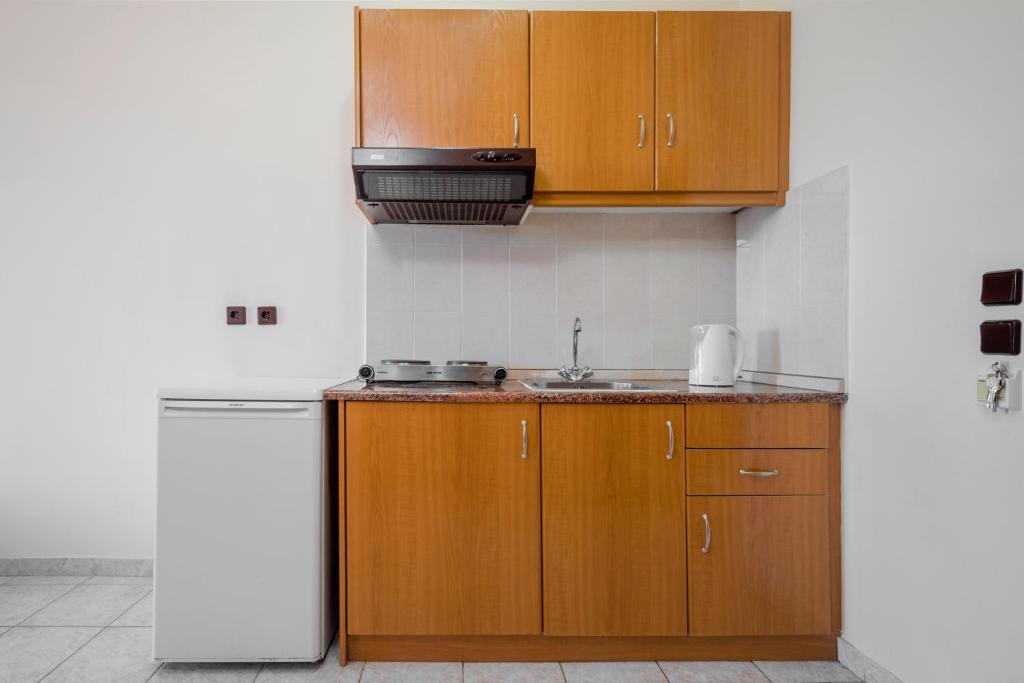 Kuchyň nebo kuchyňský kout v ubytování Alea Hotel Apartments