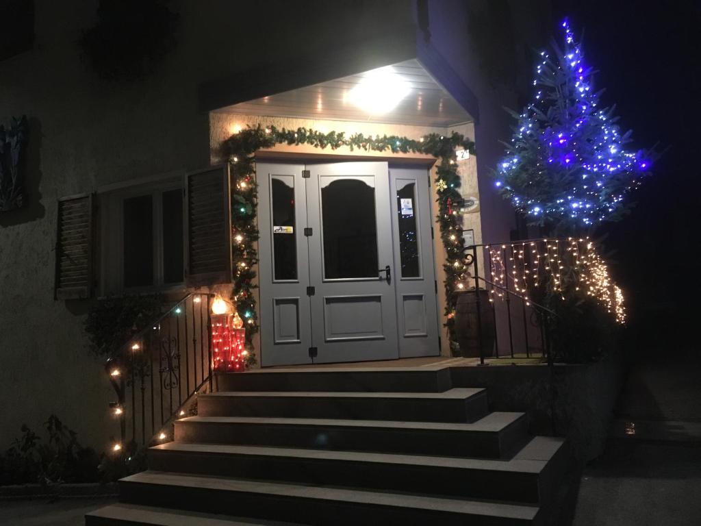 Exteriér nebo vchod ubytování Albergo Genzianella