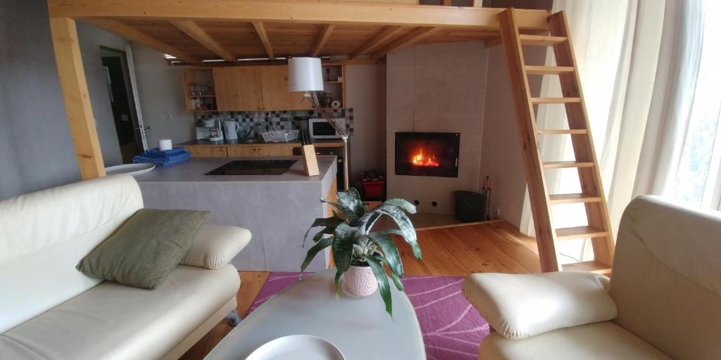 a living room with a couch and a fire place at Pension an der Elsterbrücke in Berlin