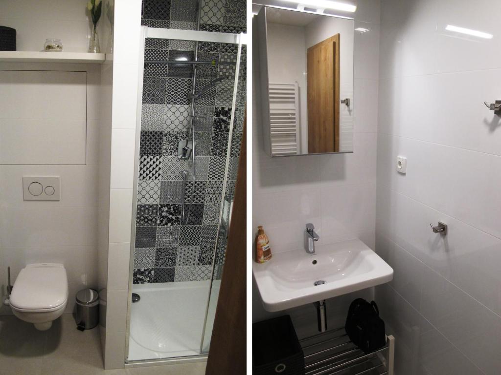 Koupelna v ubytování Dolní Morava - Apartmány