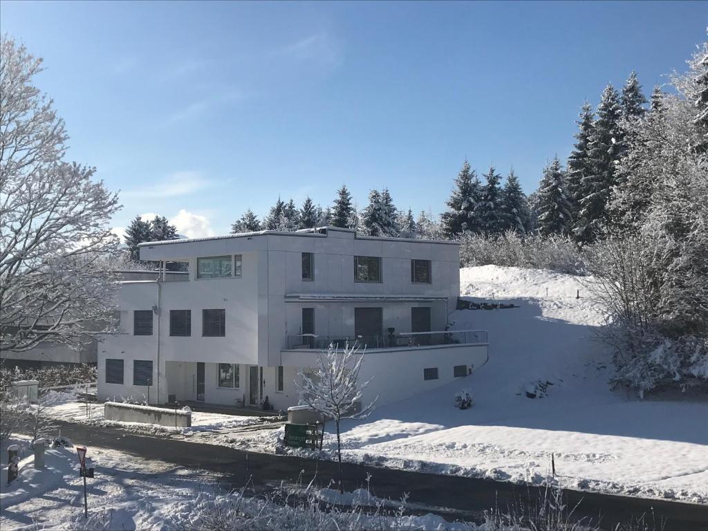 quartier39 v zimě