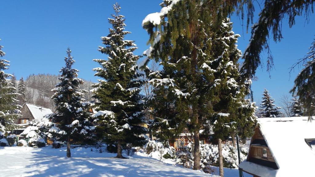 Camping Harenda Pokoje Gościnne i Domki v zime