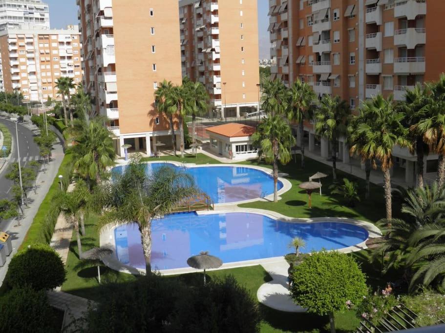 einen Blick über einen Pool mit Palmen und Gebäuden in der Unterkunft BEFERENT Bulevar Playa San Juan in Alicante