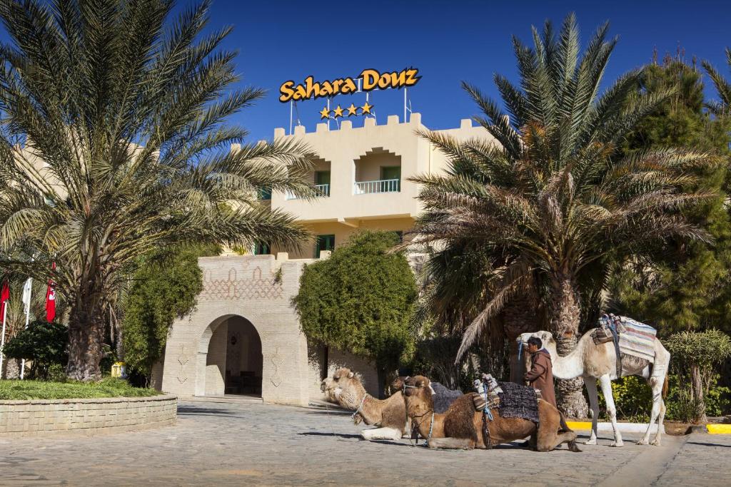 a group of camels in front of a hotel at Sahara Douz in Douz