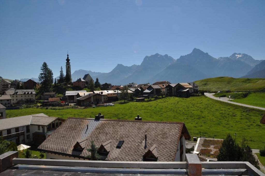 Příroda nedaleko apartmánu