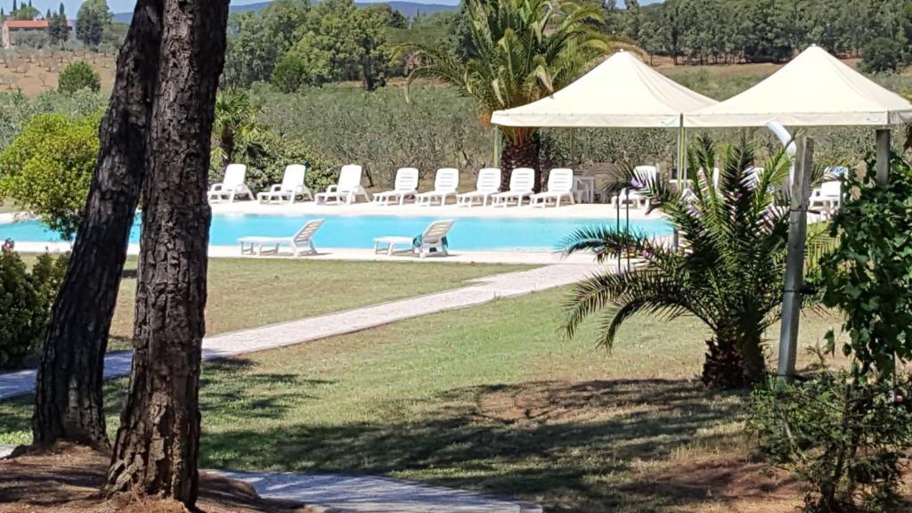 a pool with white umbrellas and chairs next to at Agriturismo San Giuseppe in Gavorrano