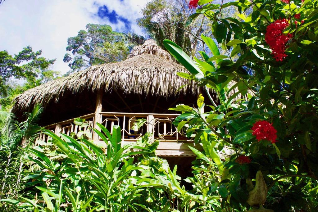 Villas Pico Bonito - Casa De Dos Dormitorios