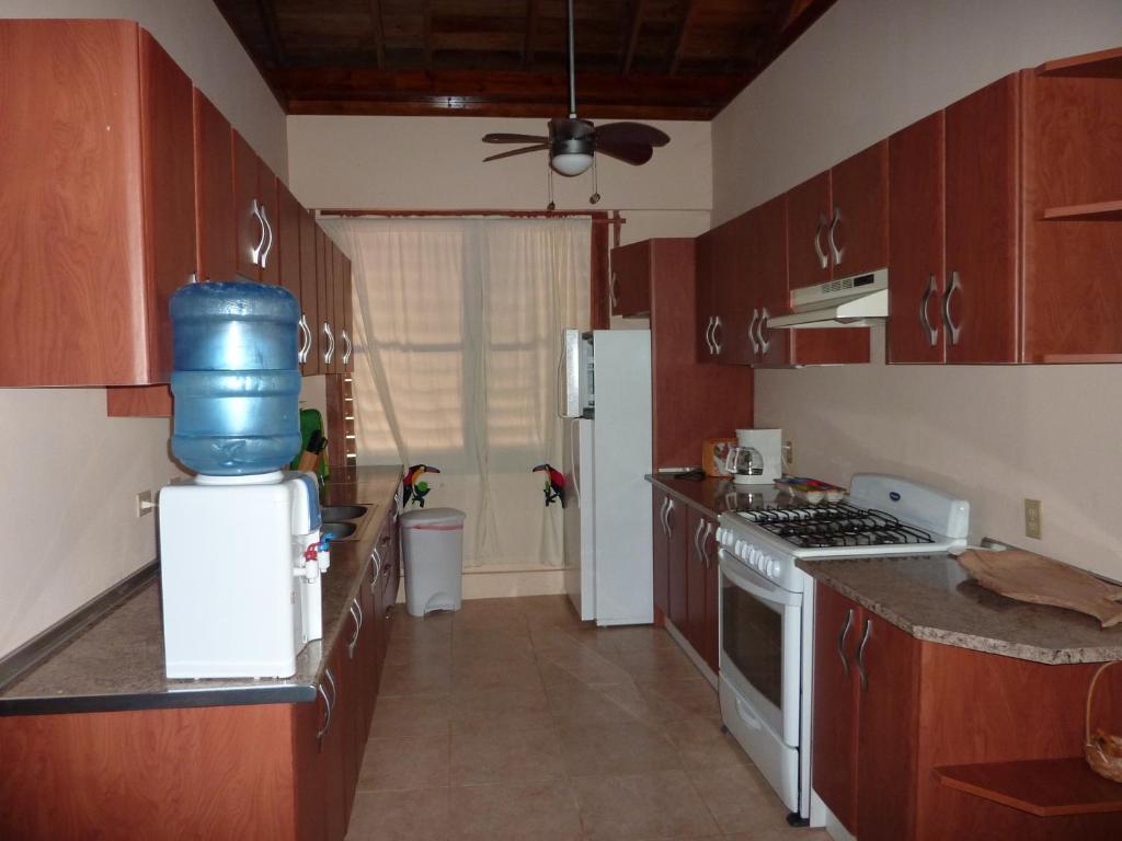Kuchyň nebo kuchyňský kout v ubytování Villas Pico Bonito