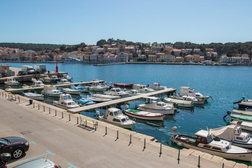 Ein paar Boote sind in einem Hafen angedockt. in der Unterkunft Vindobona in Mali Lošinj